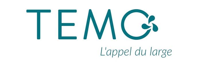 logo de temo iùage de logo de temo